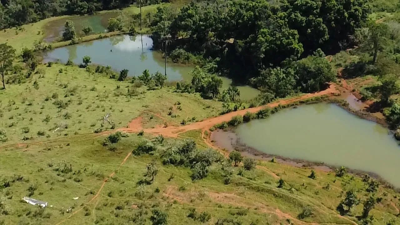 Fazenda dupla aptidão municípios do Prata  - Foto 5
