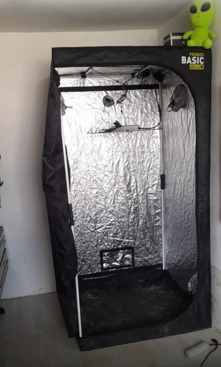 Grow 1mx1m