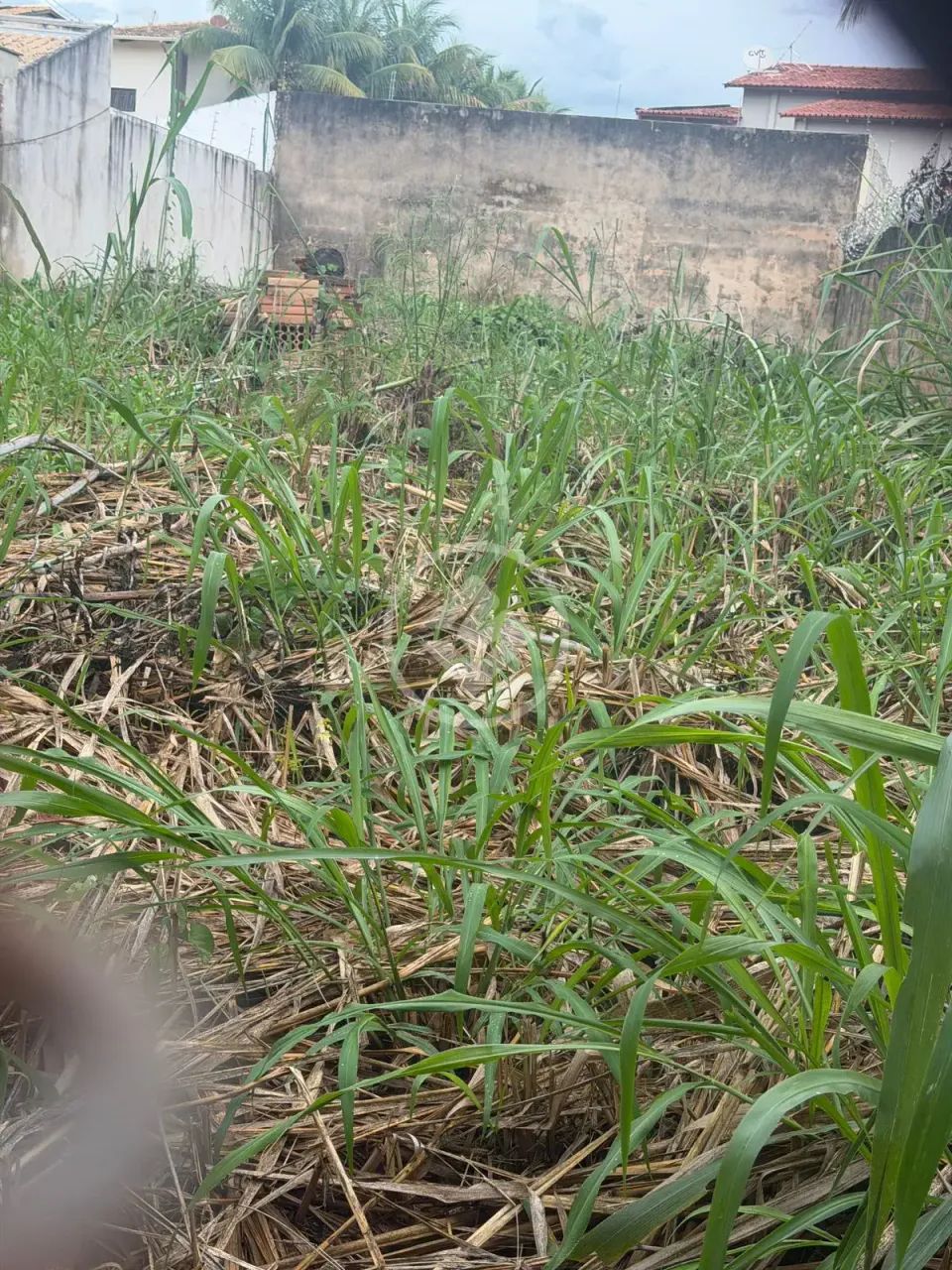 LOTE INTEIRO ST.JAÓ codigo: 272584