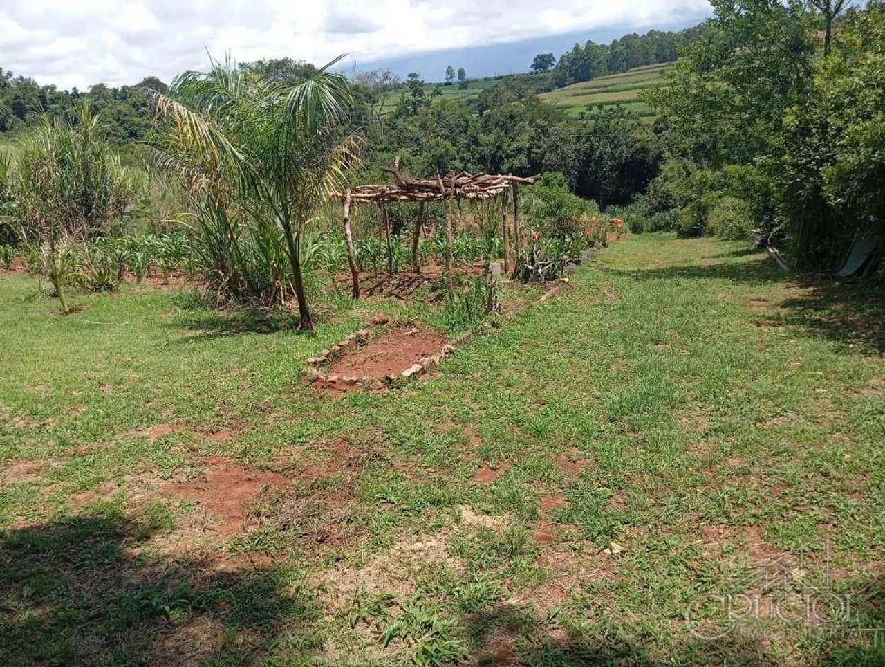Chácara com 4.000m2 - Tamarana - Pomar e baldrame pronto para construir casa