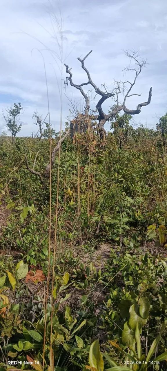Terreno Chapada dos Guimarães - Foto 3