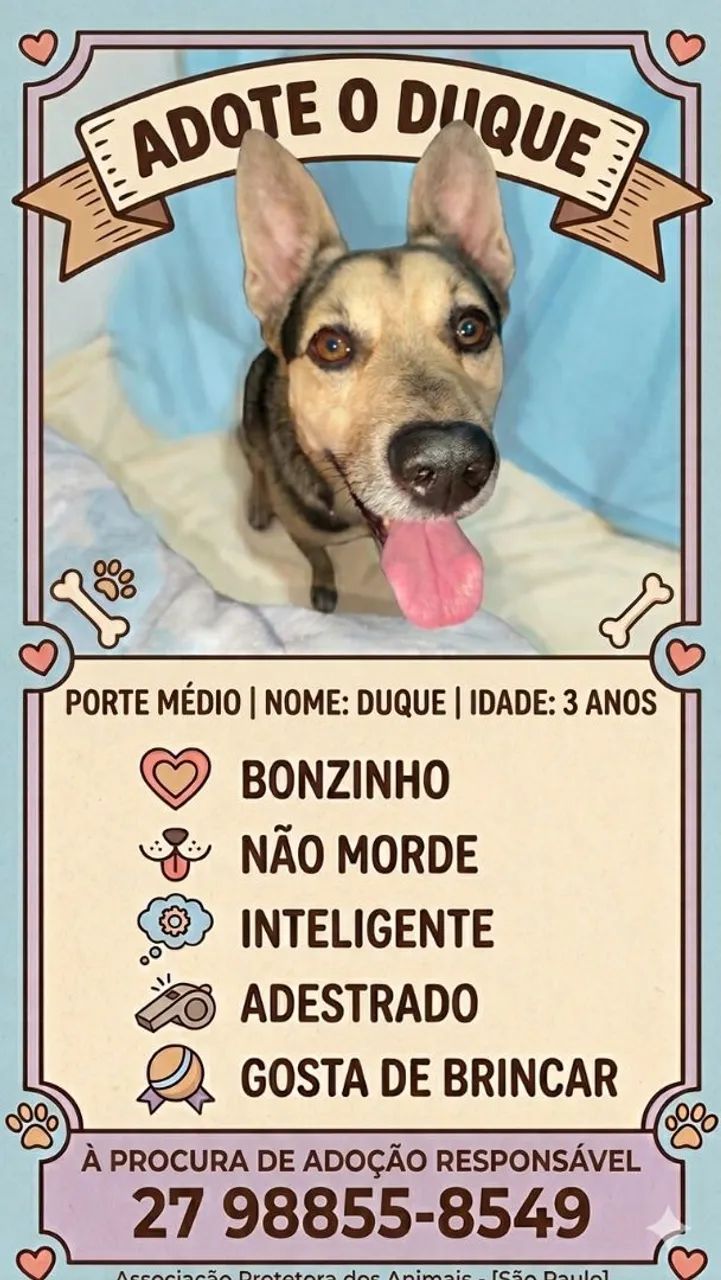 Adoção responsável 