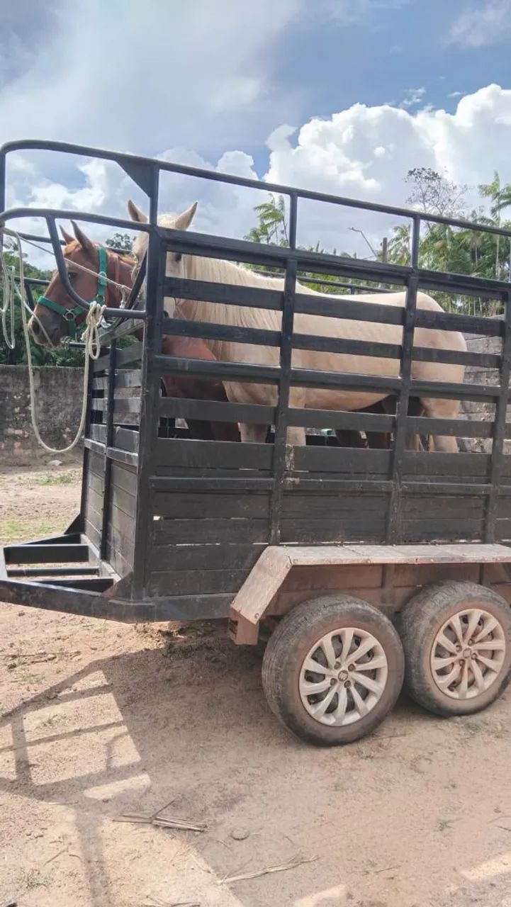 Trailer para transporte de cavalo à venda  - Foto 2