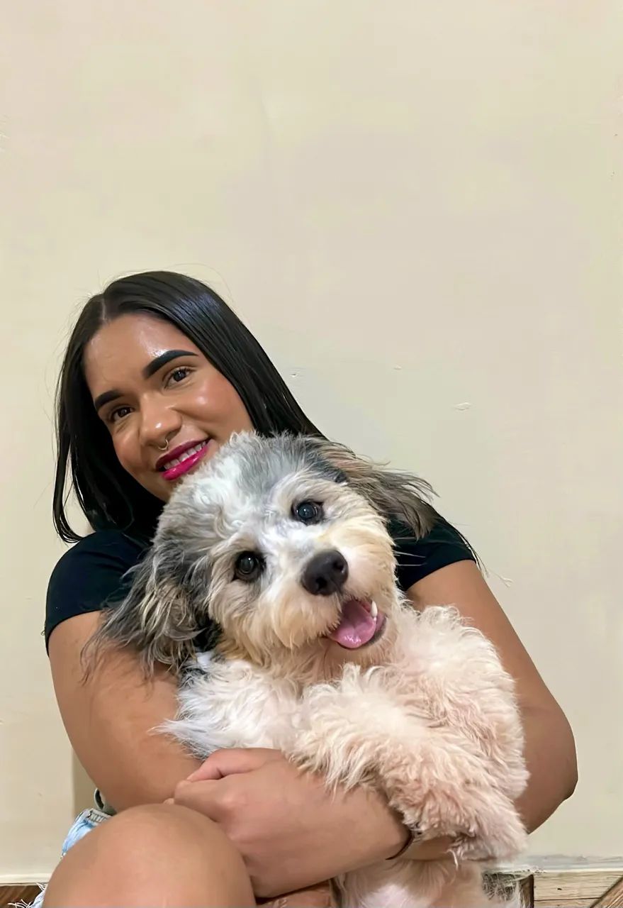 Adoção cachorro macho - Foto 3