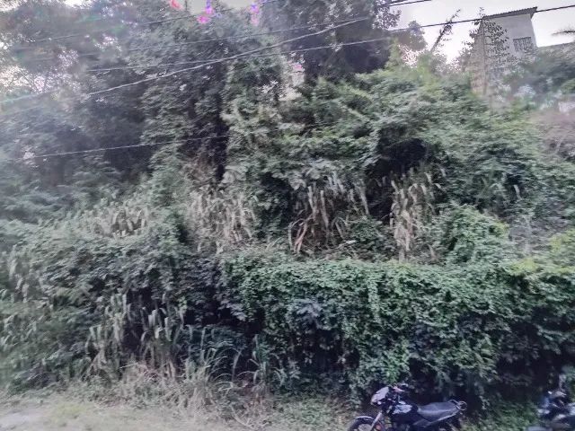 Terreno na Rua das Rosas - Vila Valqueire  - Foto 3