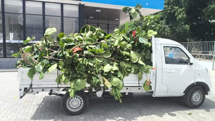 Coleta de Entulho e Resíduos em São Luís - Foto 2