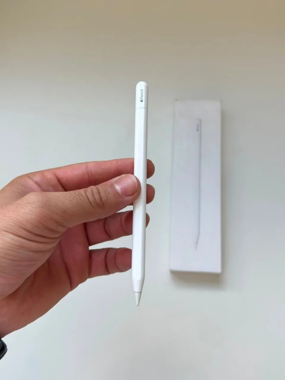 Apple Pencil USB-C original (garantia e parcelamento