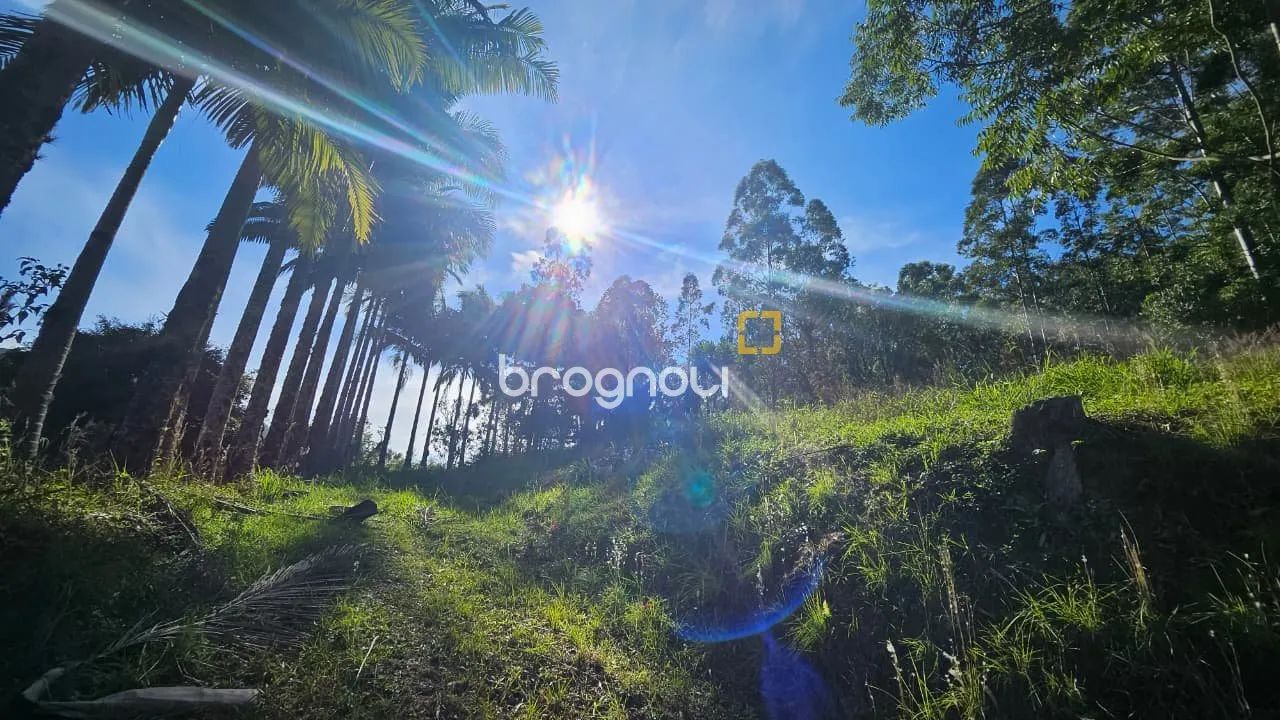 Sítio à venda no Distrito Garcia em Angelina - Foto 5