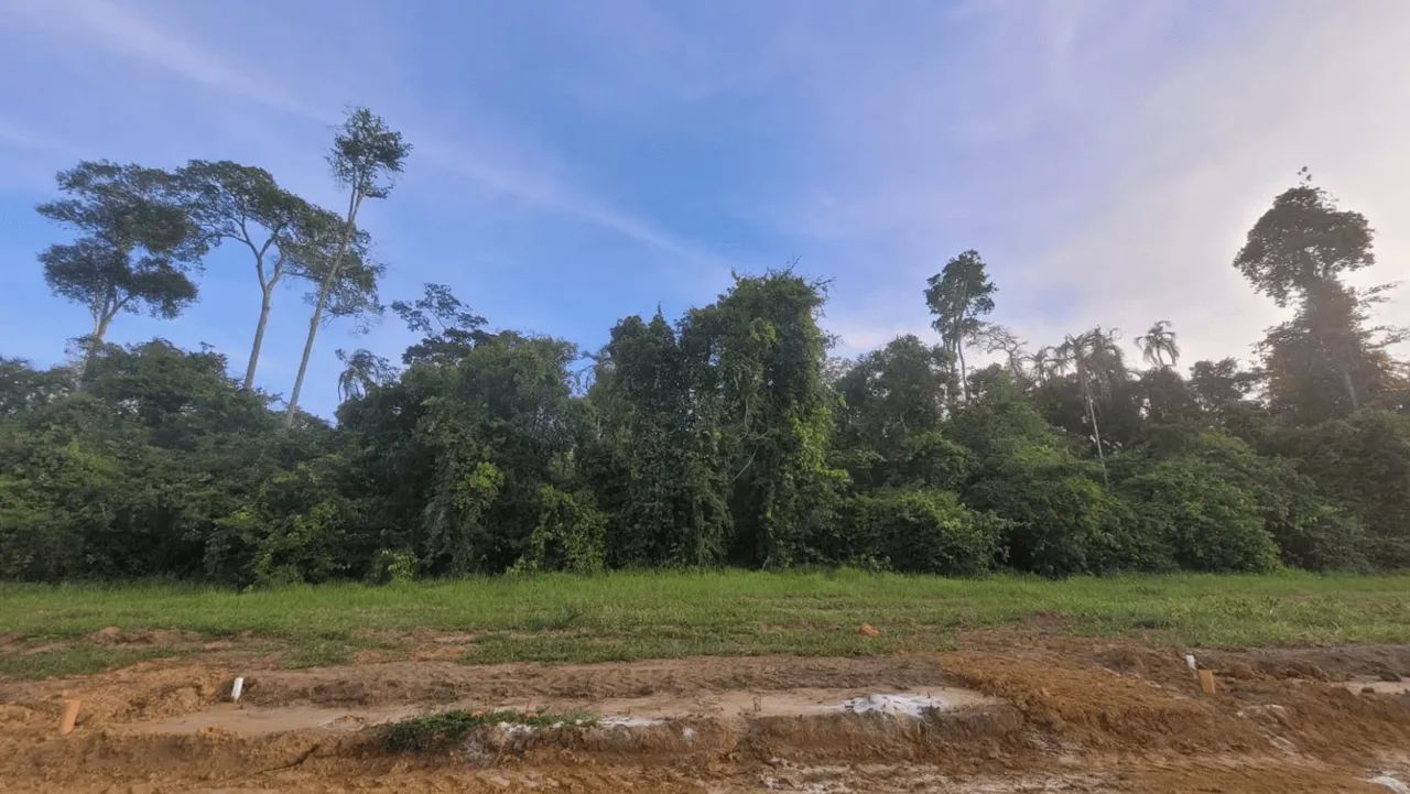 Condomínio Reserva da Mata em Eunápolis - Foto 3