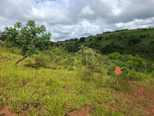 Vendo terreno com 10000 m2 em Piedade dos Gerais - Foto 3