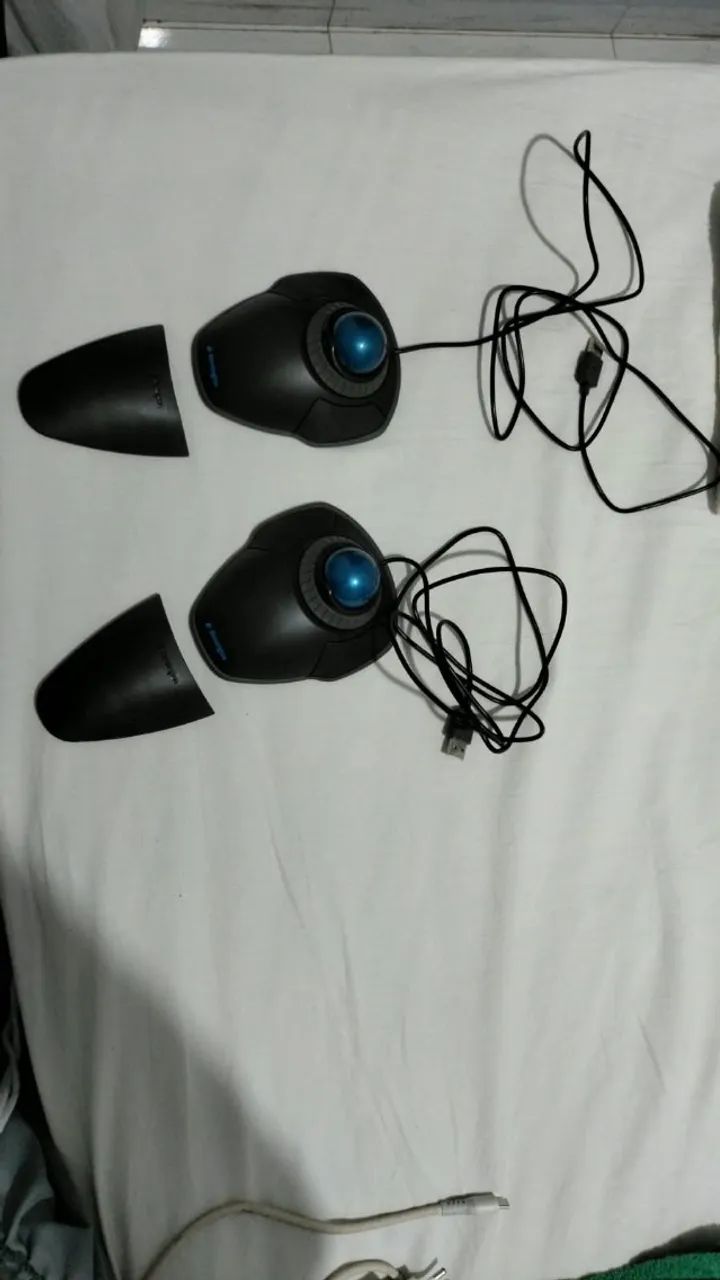mouse