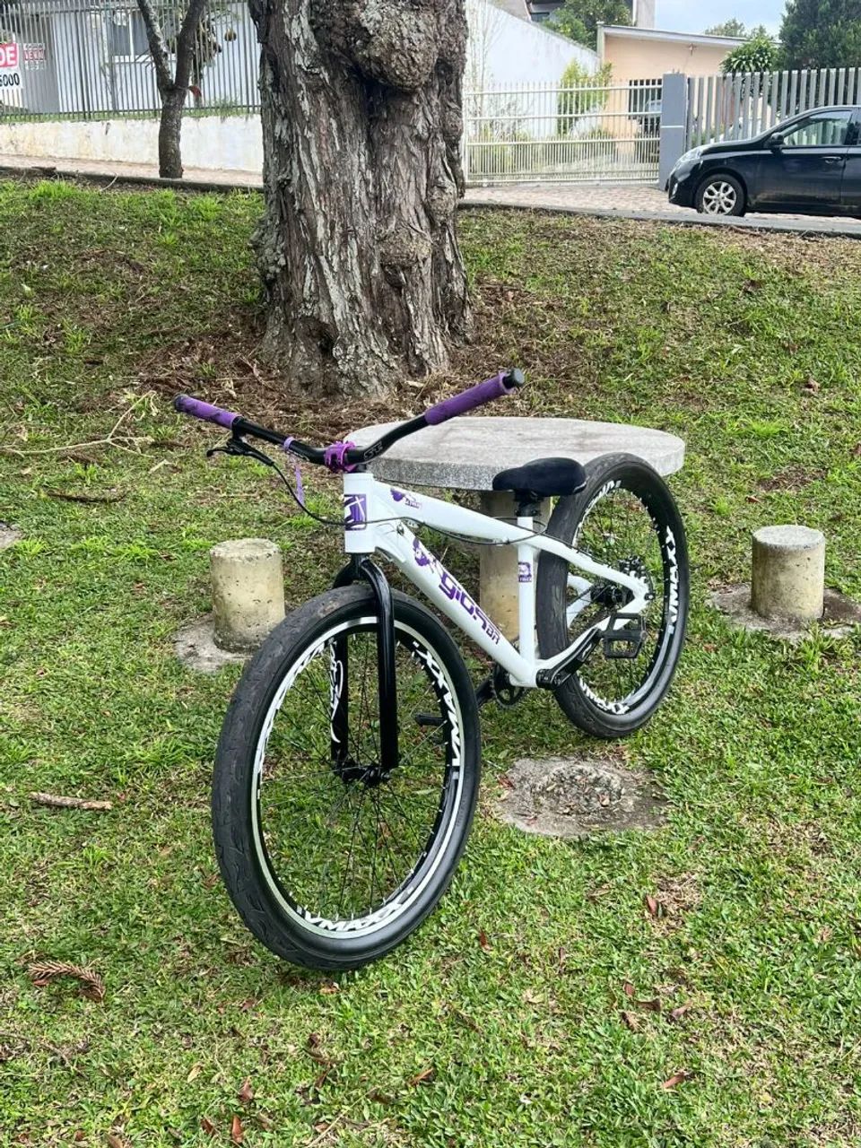 Gios 4 Trix 2026 - Foto 4