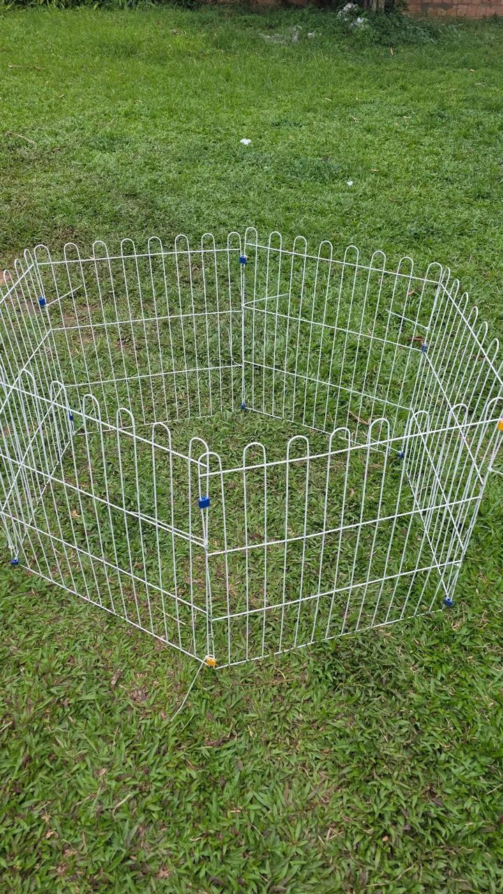 Cercado pra filhote de dogs
