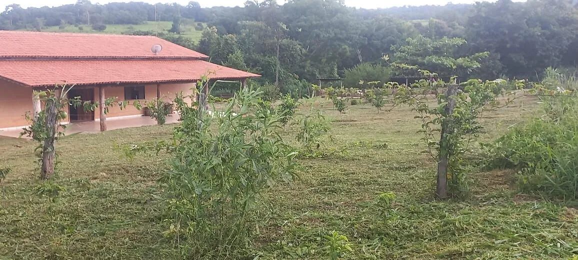 Fazenda à venda no bairro Centro - Itauçu/GO - Foto 3