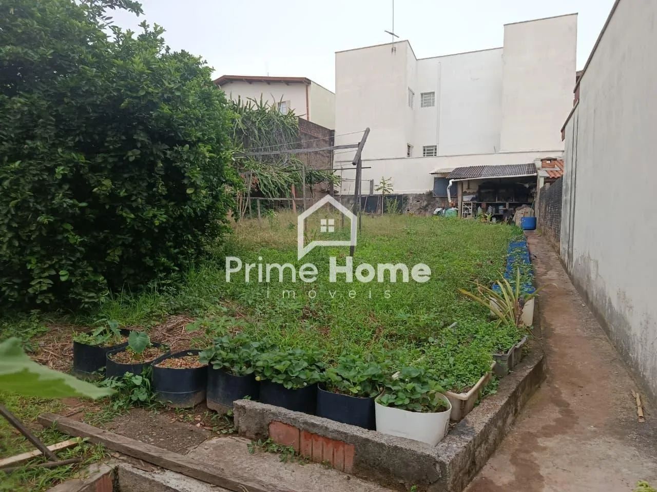 terreno - Jardim dos Oliveiras - Campinas - Foto 3
