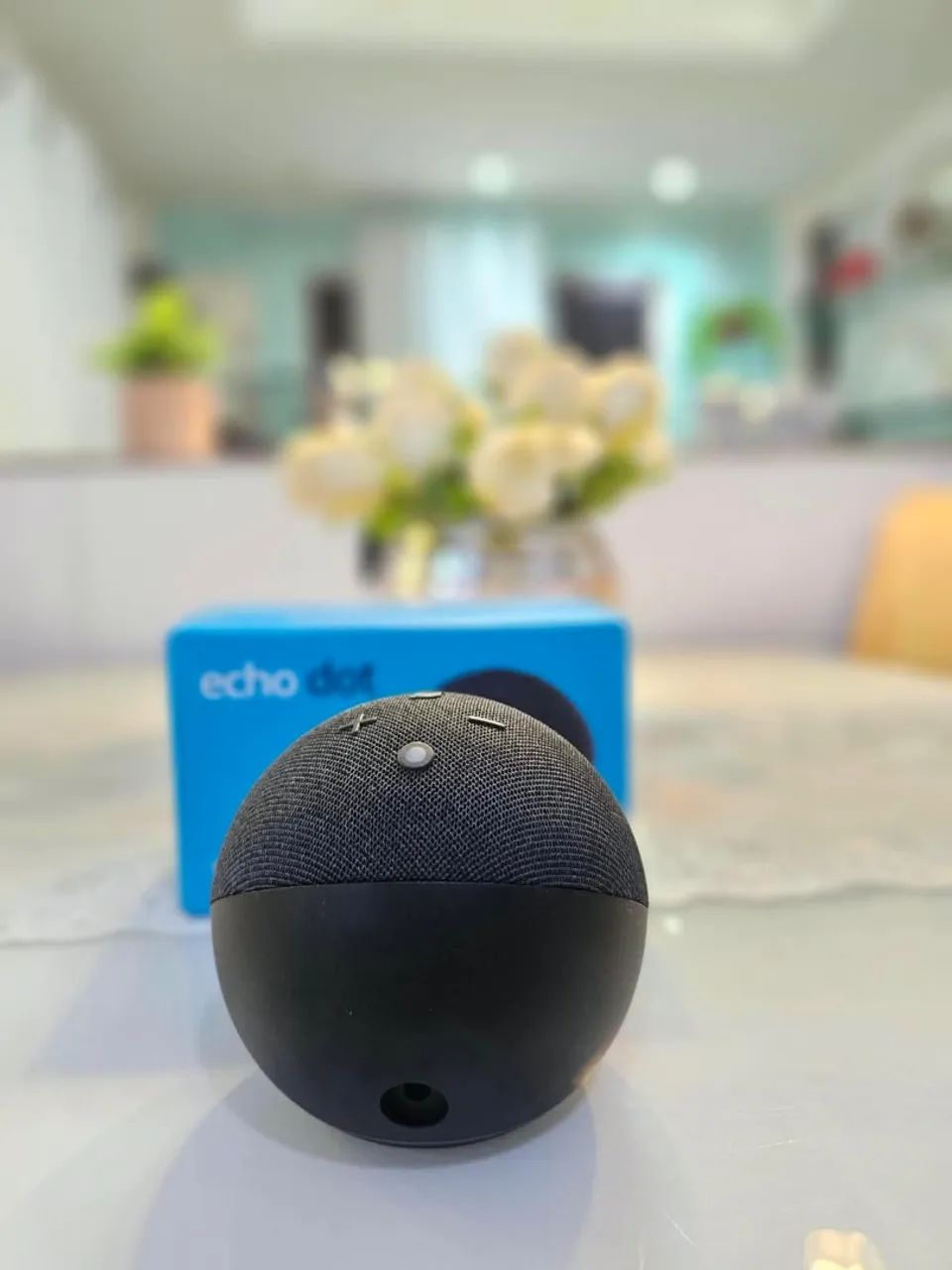 Alexa - Foto 3