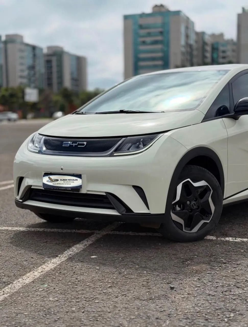 BYD Dolphin EV (Elétrico) 2024 - Foto 3
