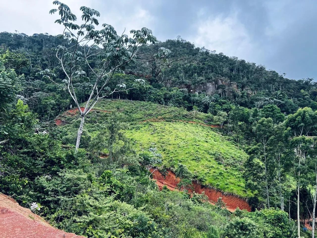 Chácara em Santa Teresa - Foto 4