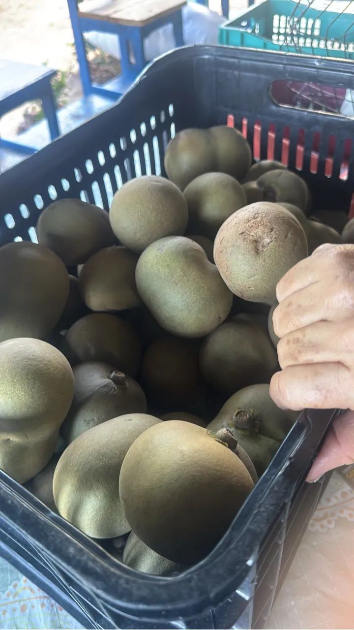 Pequi - Foto 2