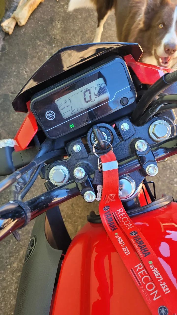 Yamaha factor 150 2024 - Foto 3