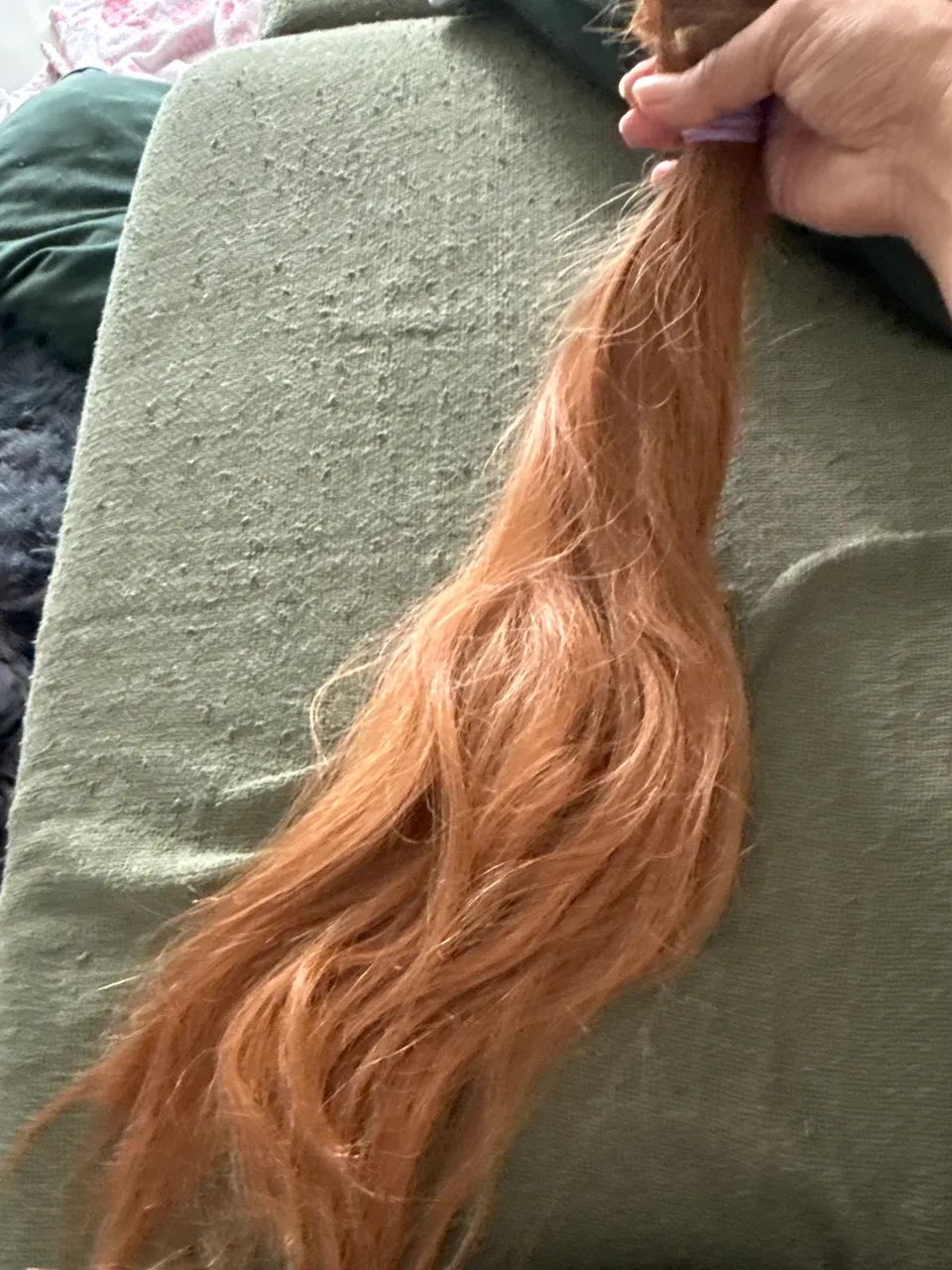 Cabelo