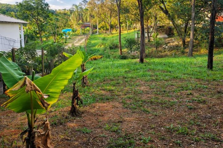 Foto - Contagem - Capim Rasteiro (Chácaras Campo Alegre)