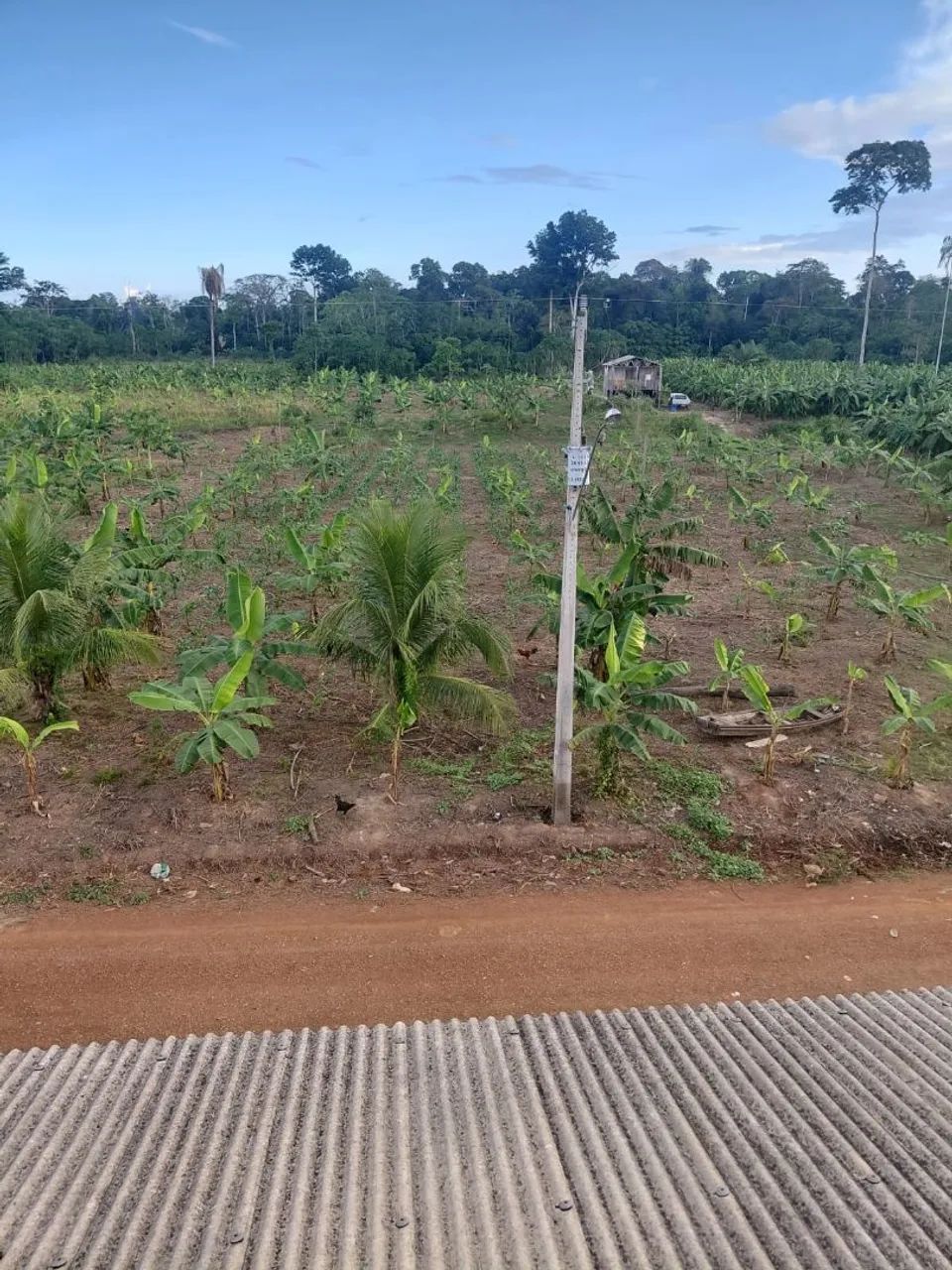 Venda de terreno  - Foto 4