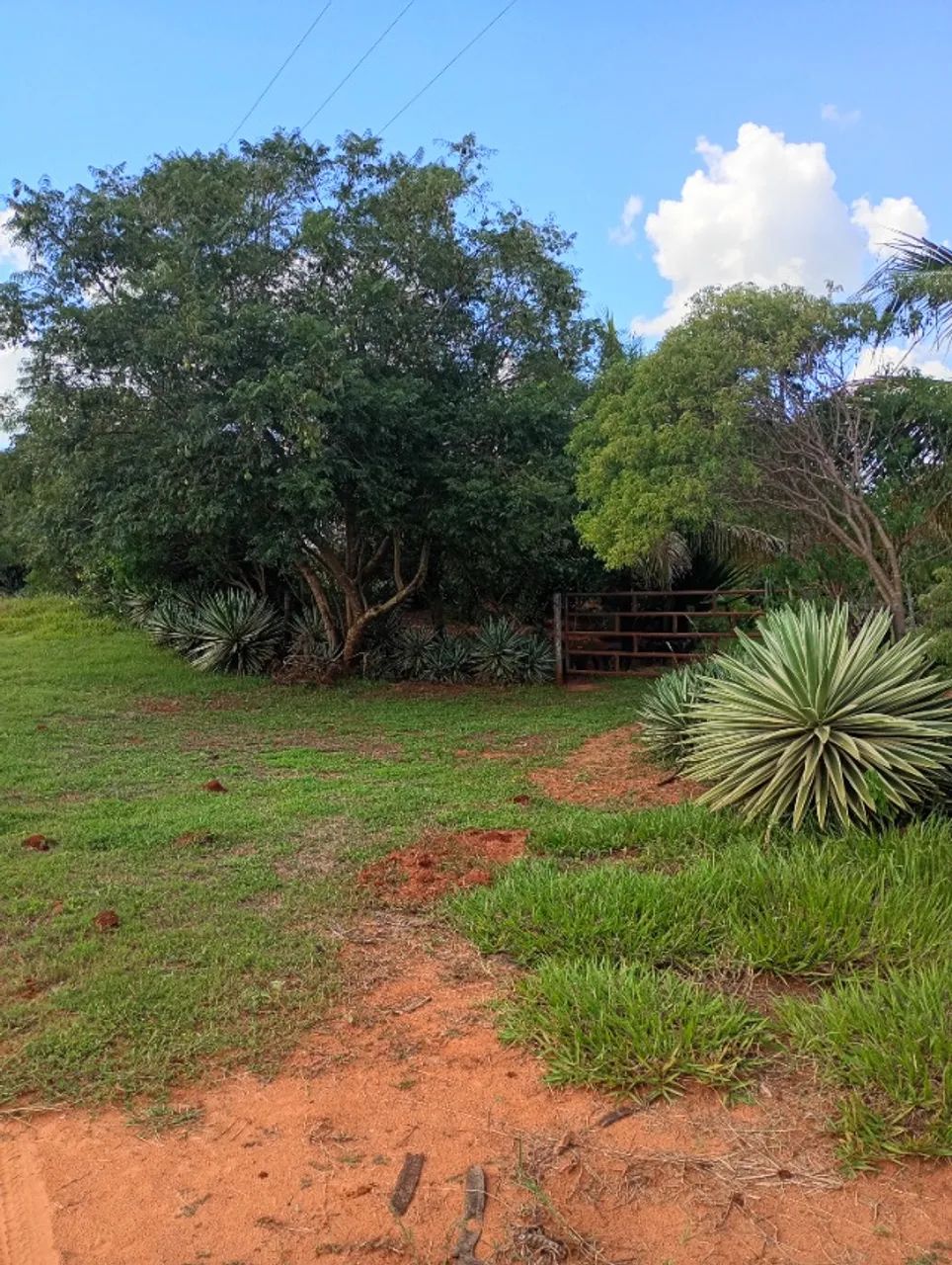 sítio a venda em Mirandópolis sp - Foto 5