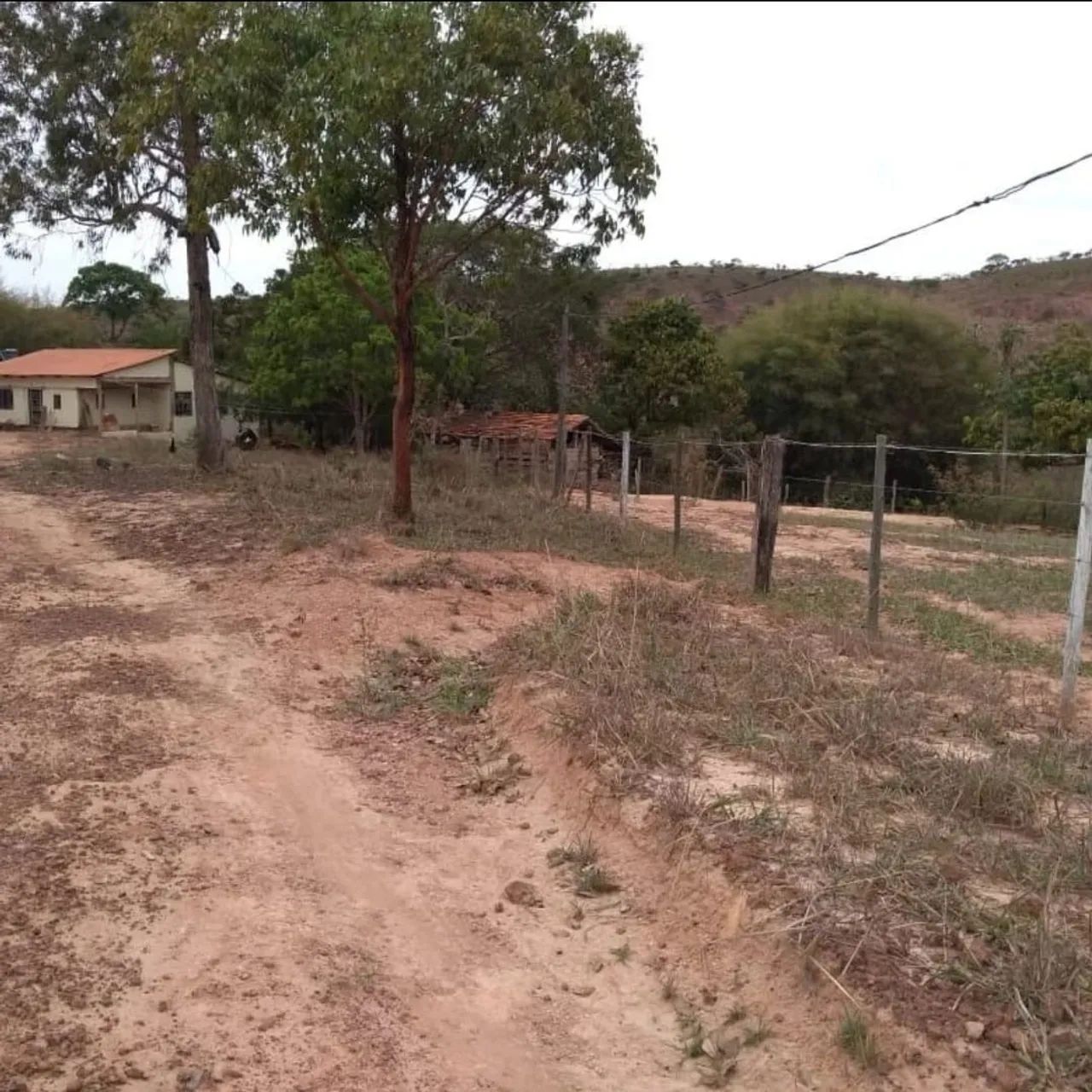 Fazenda sentindo campo florido  - Foto 2