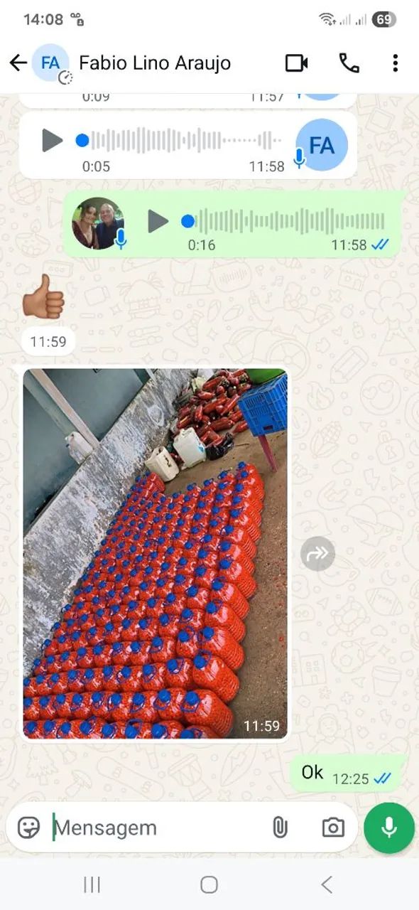 Pimenta malagueta - Foto 4