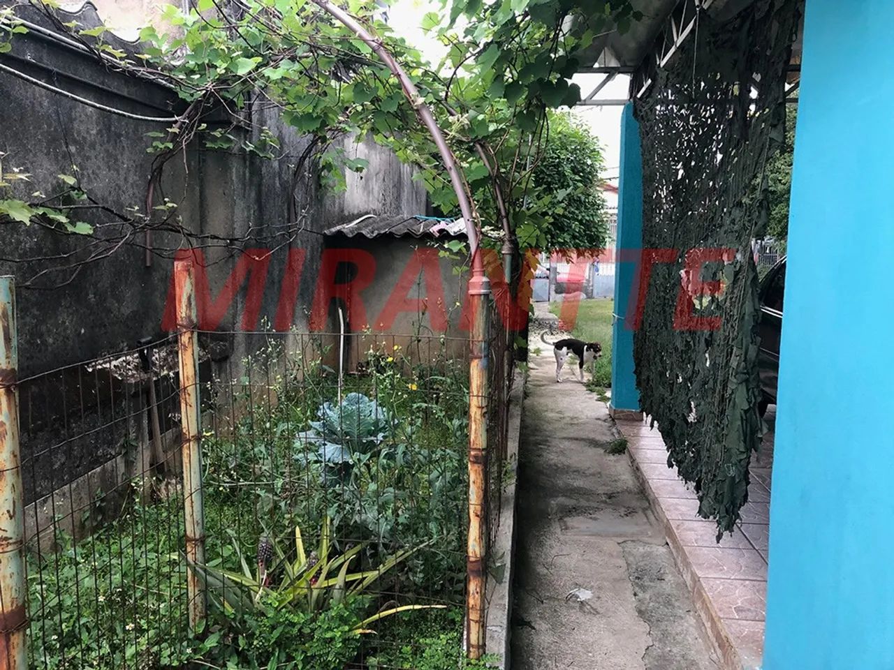 Terreno em Quitaúna - Foto 5