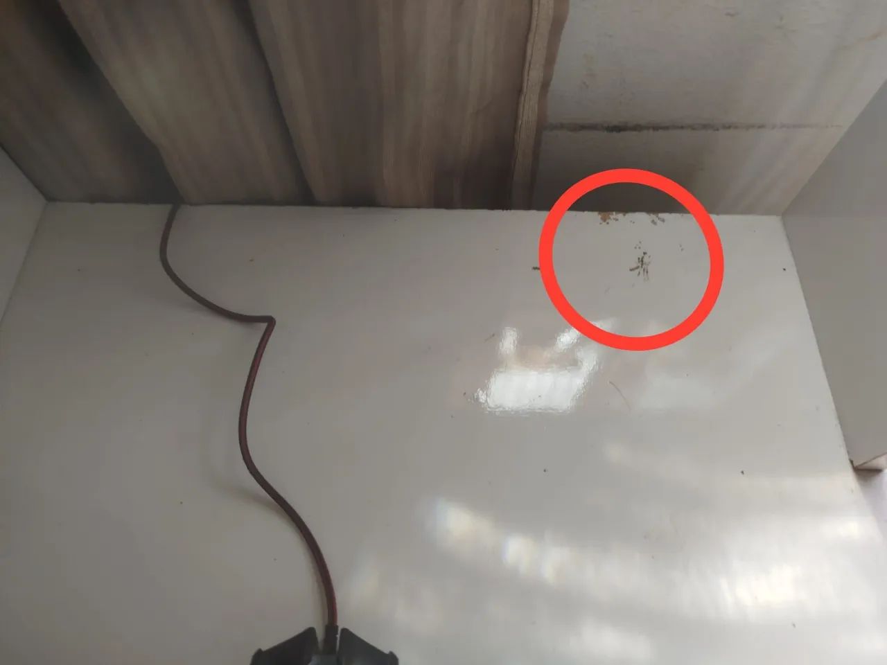 ESCRIVANINHA DESAPEGO!!! - Foto 3