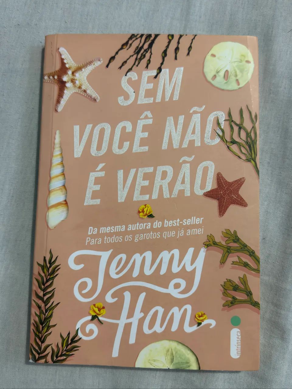 Sem você não é verão 