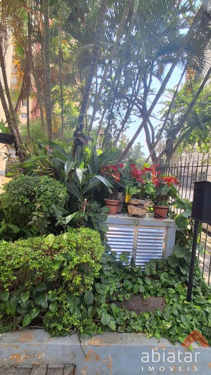 LINDO APARTAMENTO 02 DORMITÓRIOS NO JARDIM UMARIZAL! - Foto 2