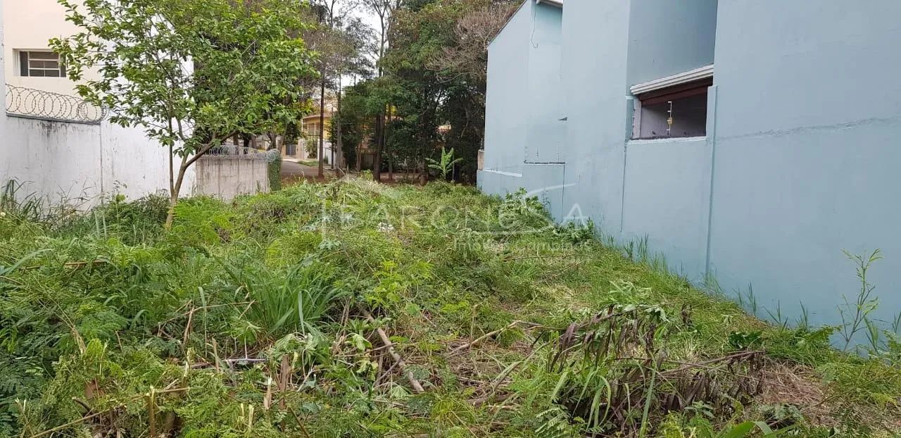 terreno - Cidade Universitária - Campinas - Foto 2