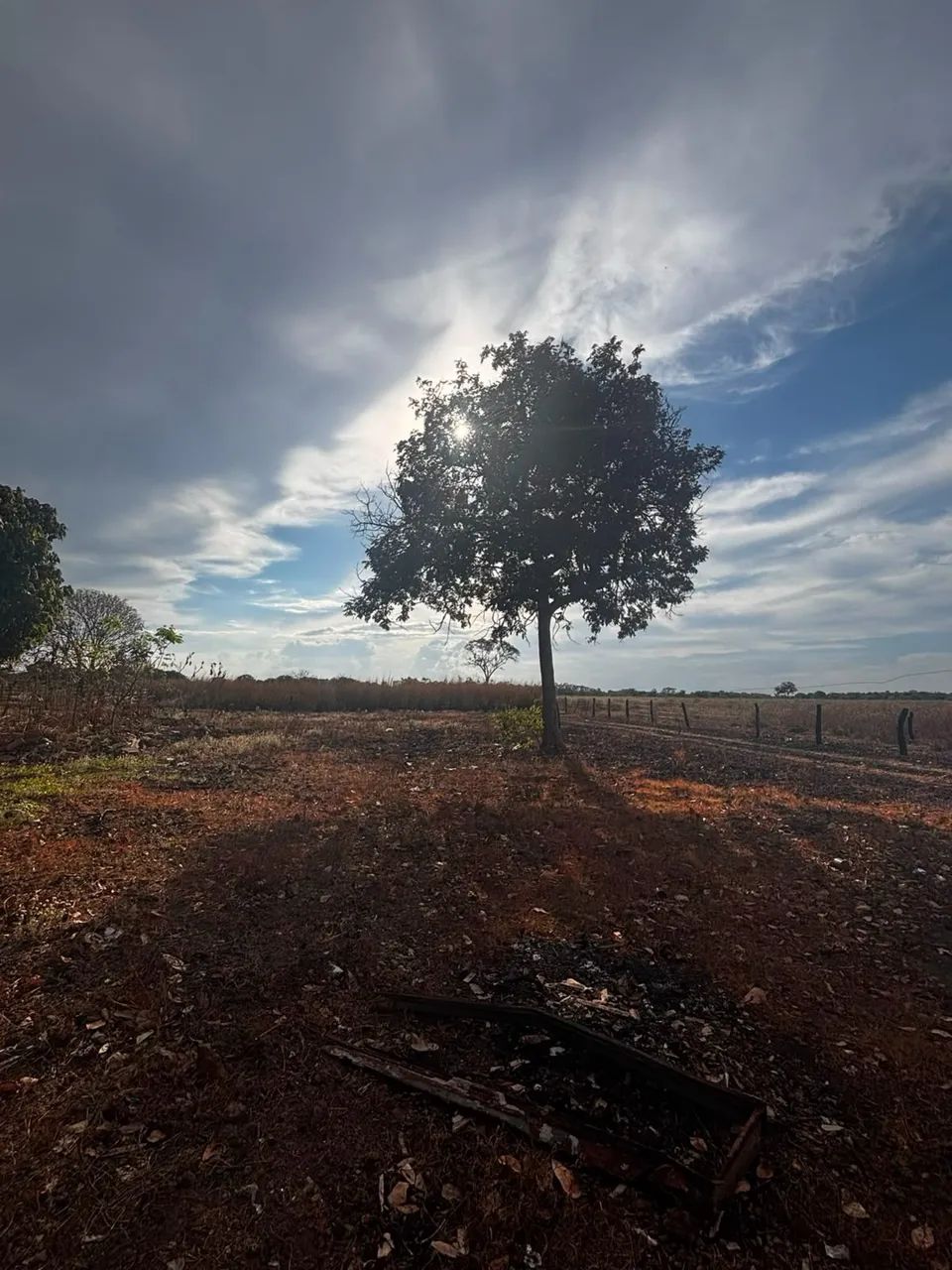 Chácara à Venda em Lagoa da Confusão - TO - Foto 2