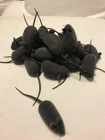 Ratinhos de brinquedo