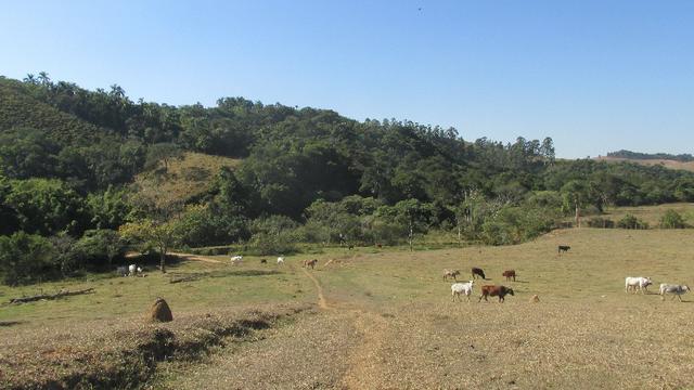 Sitio próximo a ponte do paraíba(campos do jordão) - Foto 5