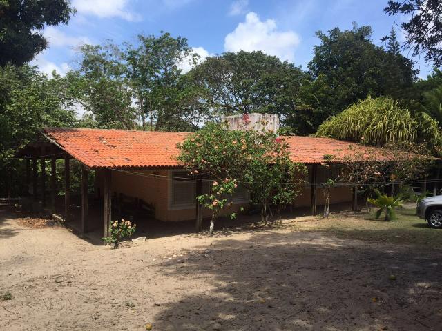 Granja pium - Foto 9