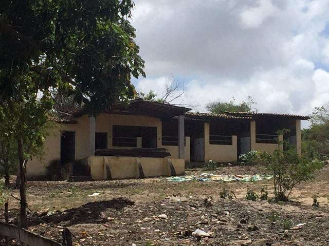 Granja pium - Foto 11