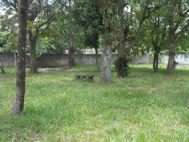 Sitio - Foto 2