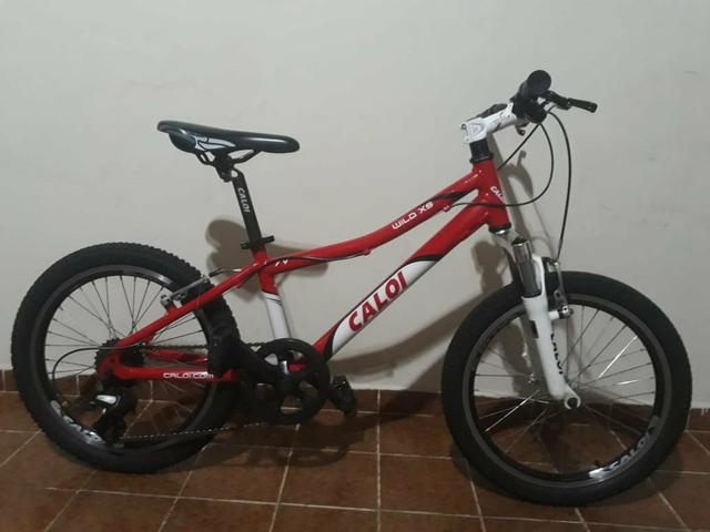Bicicleta Caloi wild XS Aro 20 7 Marchas