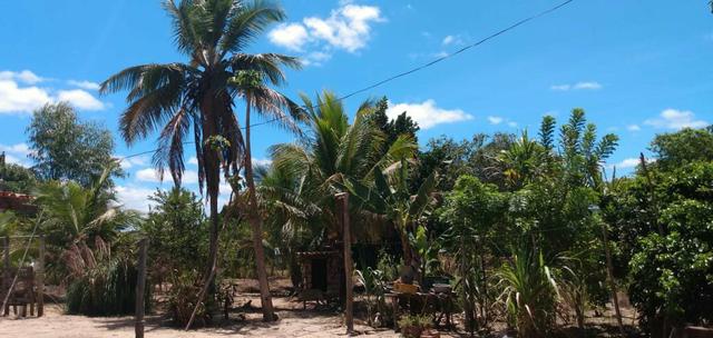 Vende se chácara em Estevão"Alagoinhas"