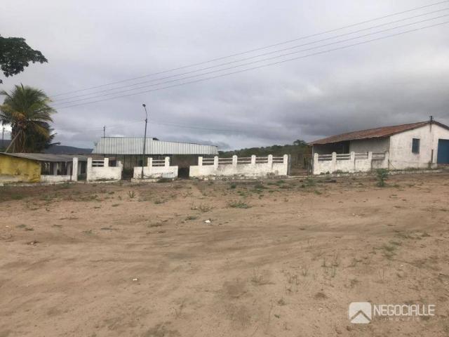 Excelente granja em são josé da mata (10 hectares) - Foto 2