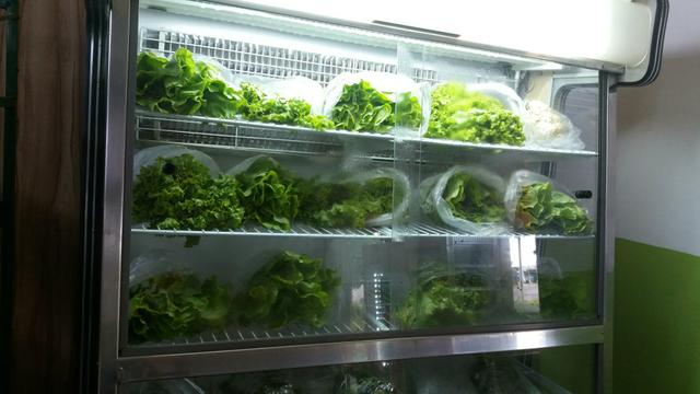 Freezer - Foto 3