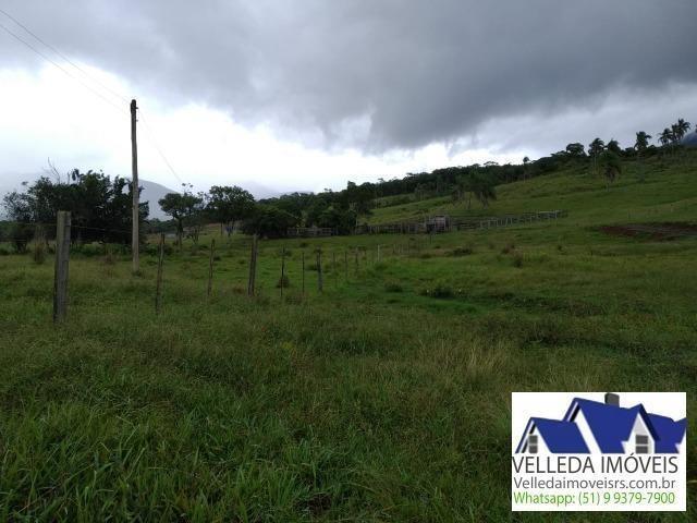 Velleda of. Fazenda 189 hectare, especial p/ gado, açudes, casa , maquiné - Foto 17