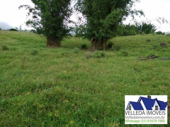 Velleda of. Fazenda 189 hectare, especial p/ gado, açudes, casa , maquiné - Foto 15