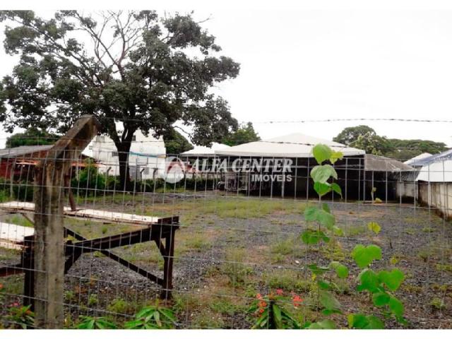 Área para alugar, 1000 m² por r$ 2.000/mês - setor castelo branco - goiânia/go - Foto 3