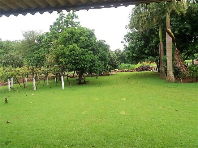 Chácara 10.000 m² próximo ao Icle (Porto dourado) Foz do Iguaçu - Foto 13