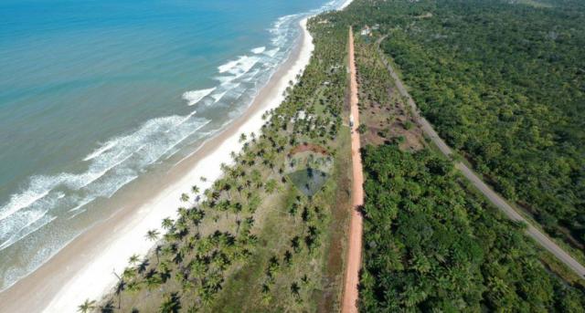 Terreno à venda, 117242 m² por r$ 3.100.000 - aritaguá - itacaré/ba - Foto 5